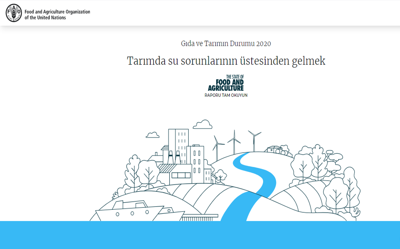 FAO-2020